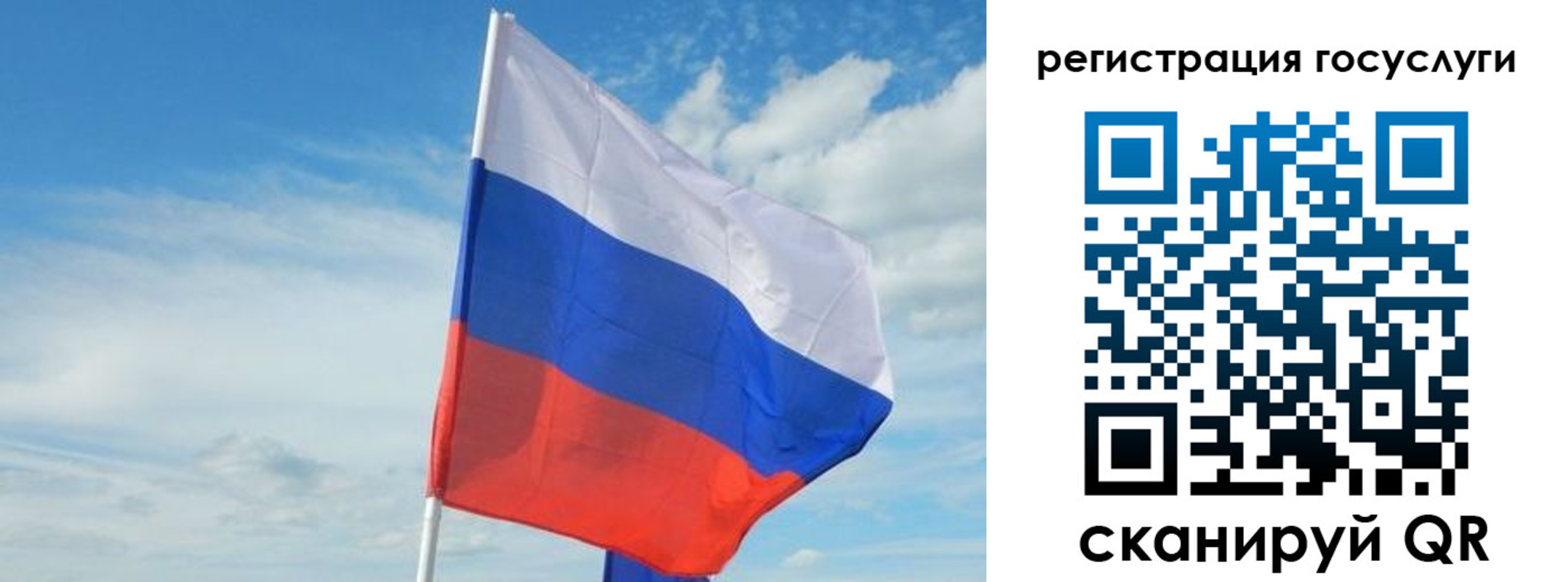 прописка для школы в Щёлково